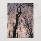 naar de hemel briefkaart (Voorkant)