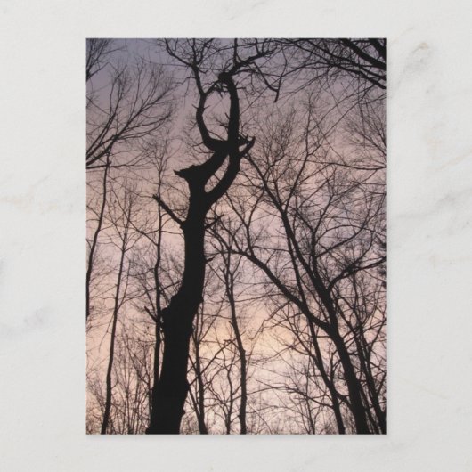 naar de hemel briefkaart (Voorkant)