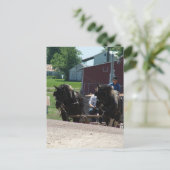 Naar de heuvel briefkaart (Staand voorkant)