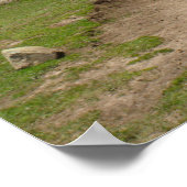 naar de himalaya poster (Hoek)