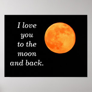 naar de maan - poster