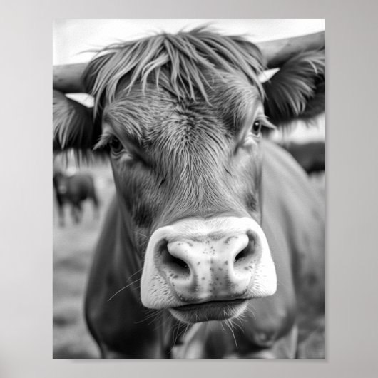 Naar de Ranch Cow Zwart en Wit Poster (Voorkant)