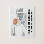 Naar de rand van de maag gevlogen met een medische legpuzzel (Verticaal)