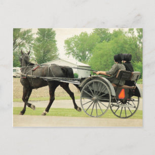 Naar de stad briefkaart