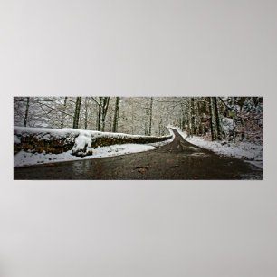 Naar de toekomst toe - Poster 36x12