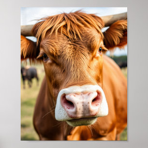 Naar de veeranch koe poster