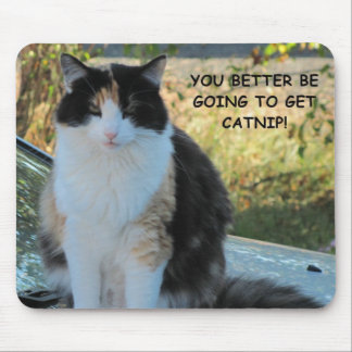 Naar de winkel? Funny Cat Meme Muismat