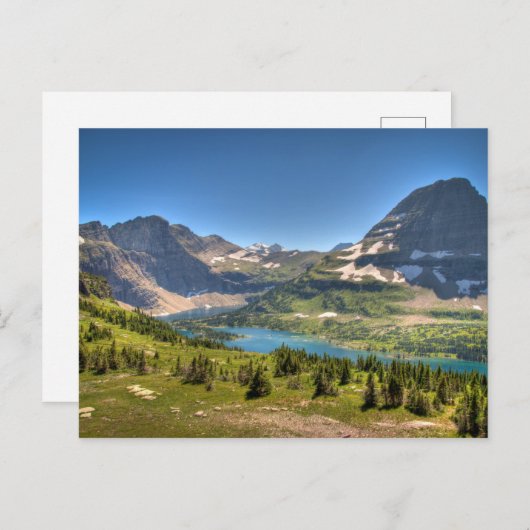 Naar de zon briefkaart (Voorkant / Achterkant)