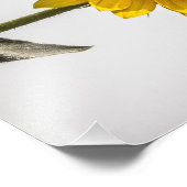 Naar de zon foto afdruk (Hoek)