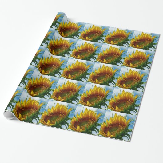 Naar de zon kijken cadeaupapier (Uitgerold)