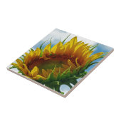 Naar de zon kijken tegeltje (Zijkant)