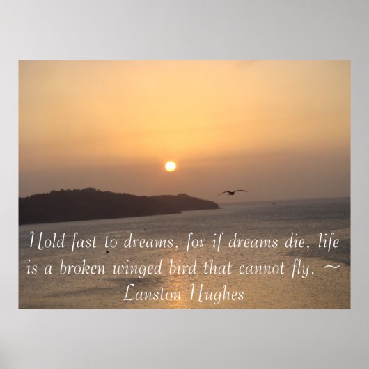 Naar de zon vliegen poster (Voorkant)