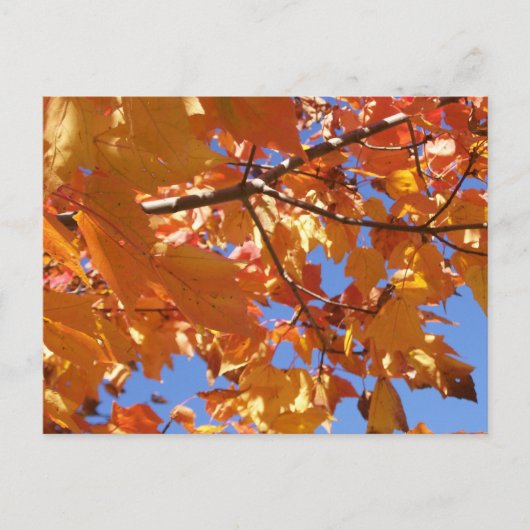 Naar een Briefkaart in de lucht (Voorkant)