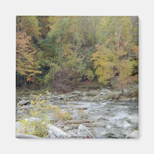 Naar het bos magneet (Voorkant)