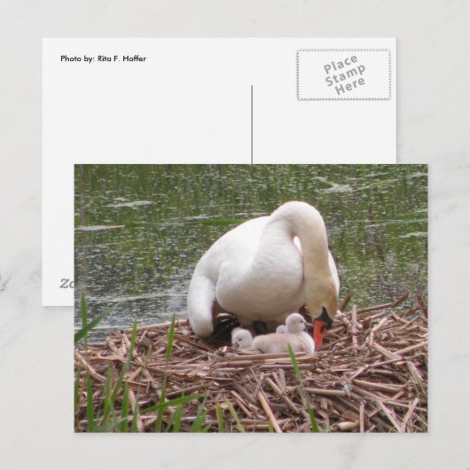 Naar het Briefkaart voor baby's (Voorkant / Achterkant)