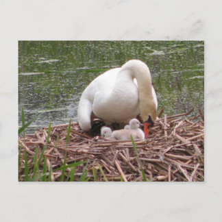 Naar het Briefkaart voor baby's