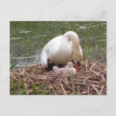 Naar het Briefkaart voor baby's (Voorkant)