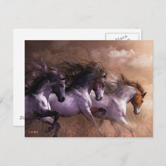 Naar het Briefkaart Vrijheid (Voorkant / Achterkant)