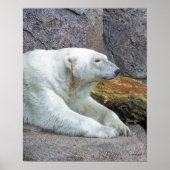 Naar het noorden poster (Voorkant)