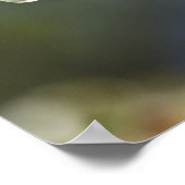 "Naar het Poster van Virginia Dogwood" (Hoek)