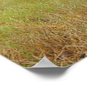 Naar het voorste Poster (Hoek)