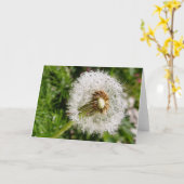 Naar het zaad kaart (Gele Bloem)