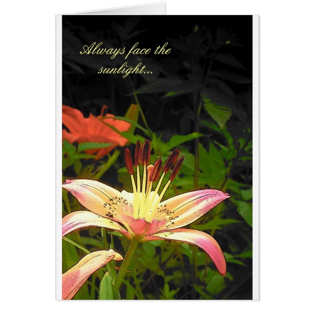 Naar het zonlicht kijken (Voorkant)