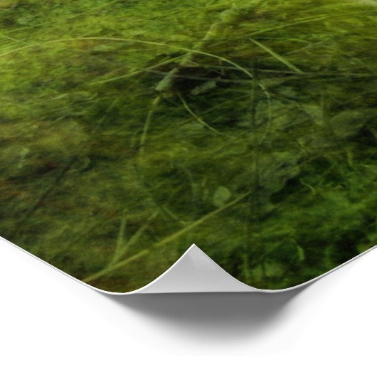 Naar huis poster (Hoek)