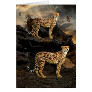 Naar Hunt in Paren - Cheetahs