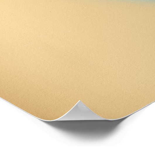 Naar India vliegen Poster (Hoek)