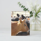 Naar jou briefkaart (Staand voorkant)