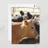 Naar jou briefkaart (Voorkant / Achterkant)