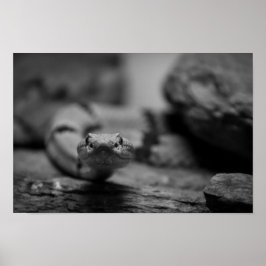 naar jou kijken poster