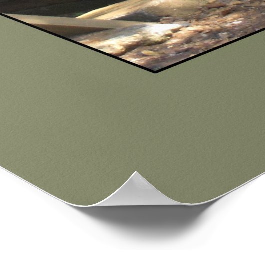 Naar Lunch. Poster (Hoek)