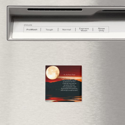 Naar mijn eeuwige vriend - Magnet (Insitu (Vaatwasser))