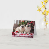 Naar mijn liefde - kat Valentijn of kerst Kaart (Gele Bloem)
