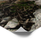 Naar nieuwe avonturen uitkijken poster (Hoek)