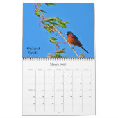 Naar nieuwe hoogten kalender (Mar 2027)