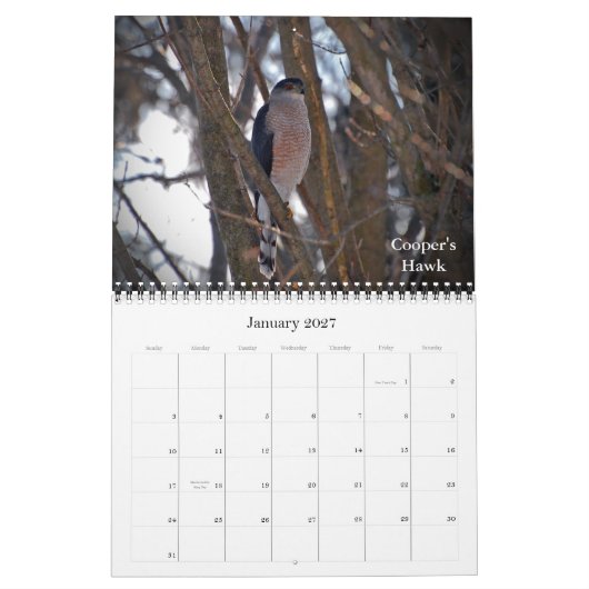 Naar nieuwe hoogten kalender (Jan 2027)