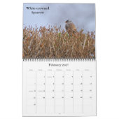 Naar nieuwe hoogten kalender (Feb 2027)