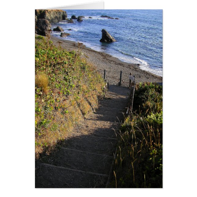 Naar Shark Rock (Voorkant)