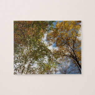 Naar vallende bladeren kijken II Herfst natuur Legpuzzel