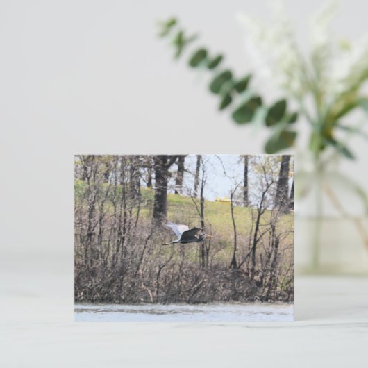 Naar vliegen briefkaart (Staand voorkant)