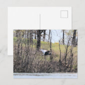 Naar vliegen briefkaart (Voorkant / Achterkant)