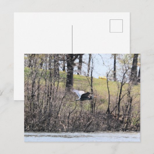 Naar vliegen briefkaart (Voorkant / Achterkant)