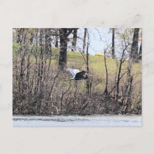 Naar vliegen briefkaart (Voorkant)