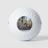 Naar vliegen golfballen (Voorkant)