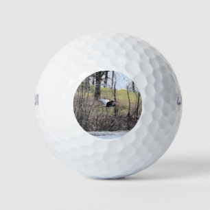 Naar vliegen golfballen
