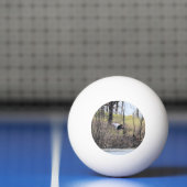 Naar vliegen pingpongbal (Net)