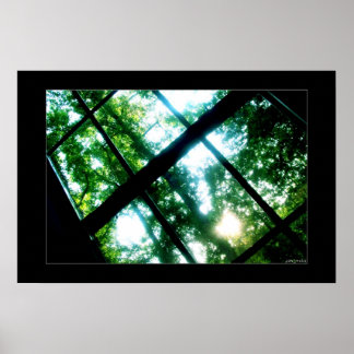 naar vrijheid zoeken poster